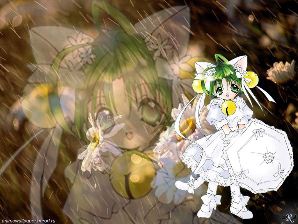 Mangas - dch - 004